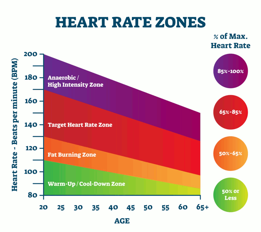 Heart Rate Zones Chart